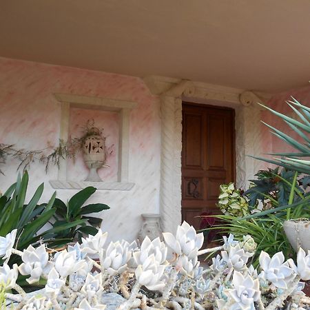 Villa Annina B&B Tropea Zewnętrze zdjęcie